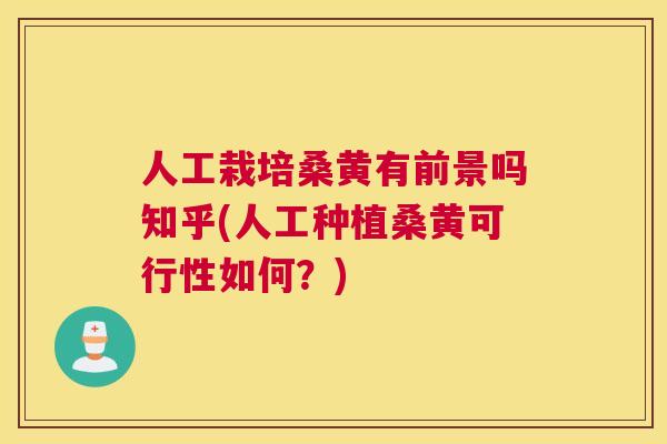 人工栽培桑黄有前景吗知乎(人工种植桑黄可行性如何?) 人工栽培桑黄有前景吗知乎(人工种植桑黄可行性如何?)