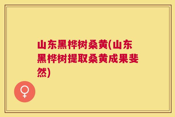 山东黑桦树桑黄(山东黑桦树提取桑黄成果斐然) 山东黑桦树桑黄(山东黑桦树提取桑黄成果斐然)