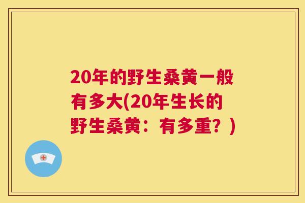 20年的野生桑黄一般有多大(20年生长的野生桑黄:有多重?) 20年的野生桑黄一般有多大(20年生长的野生桑黄:有多重?)