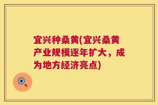 宜兴种桑黄(宜兴桑黄产业规模逐年扩大,成为地方经济亮点) 宜兴种桑黄(宜兴桑黄产业规模逐年扩大,成为地方经济亮点)