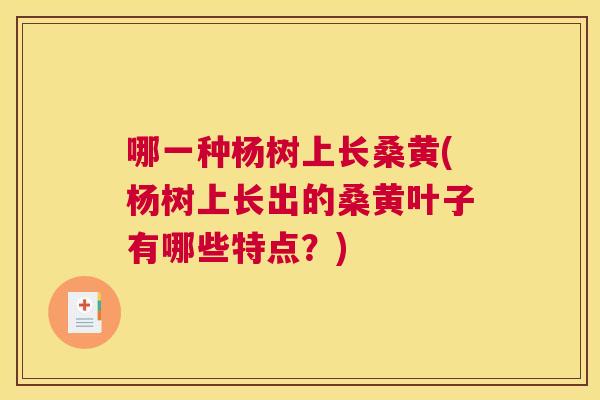 哪一种杨树上长桑黄(杨树上长出的桑黄叶子有哪些特点?) 哪一种杨树上长桑黄(杨树上长出的桑黄叶子有哪些特点?)