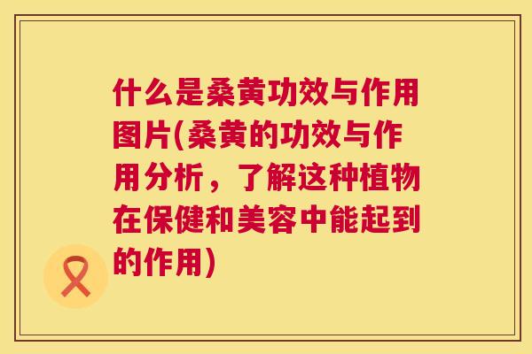什么是桑黄功效与作用图片(桑黄的功效与作用分析,了解这种植物在保健和美容中能起到的作用) 什么是桑黄功效与作用图片(桑黄的功效与作用分析,了解这种植物在保健和美容中能起到的作用)
