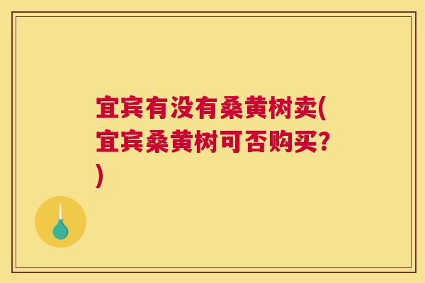 宜宾有没有桑黄树卖(宜宾桑黄树可否购买?) 宜宾有没有桑黄树卖(宜宾桑黄树可否购买?)