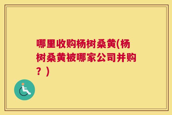 哪里收购杨树桑黄(杨树桑黄被哪家公司并购?) 哪里收购杨树桑黄(杨树桑黄被哪家公司并购?)