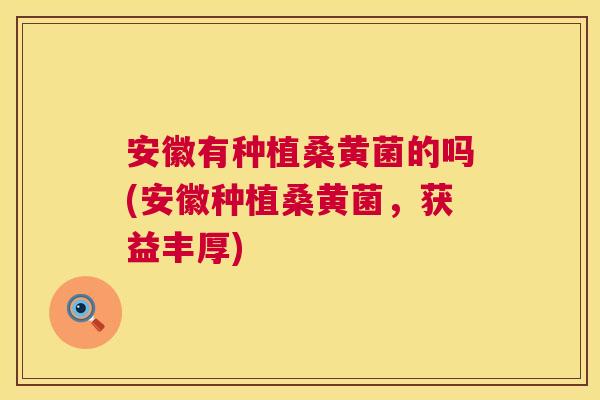 安徽有种植桑黄菌的吗(安徽种植桑黄菌,获益丰厚) 安徽有种植桑黄菌的吗(安徽种植桑黄菌,获益丰厚)