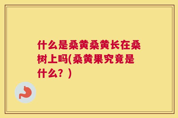 什么是桑黄桑黄长在桑树上吗(桑黄果究竟是什么？)