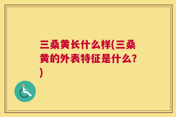 三桑黄长什么样(三桑黄的外表特征是什么?) 三桑黄长什么样(三桑黄的外表特征是什么?)