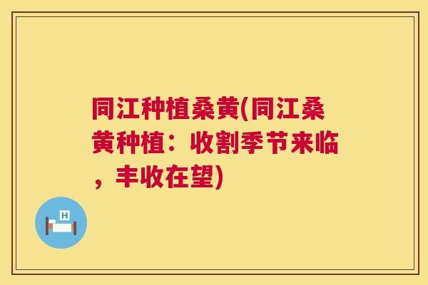 同江种植桑黄(同江桑黄种植:收割季节来临,丰收在望) 同江种植桑黄(同江桑黄种植:收割季节来临,丰收在望)