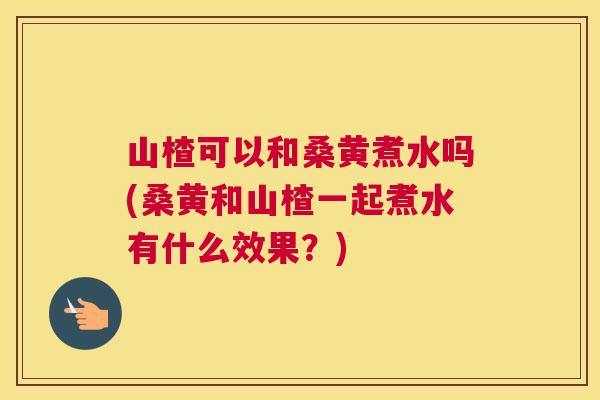 山楂可以和桑黄煮水吗(桑黄和山楂一起煮水有什么效果?) 山楂可以和桑黄煮水吗(桑黄和山楂一起煮水有什么效果?)