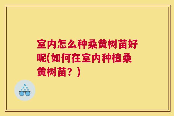 室内怎么种桑黄树苗好呢(如何在室内种植桑黄树苗?) 室内怎么种桑黄树苗好呢(如何在室内种植桑黄树苗?)