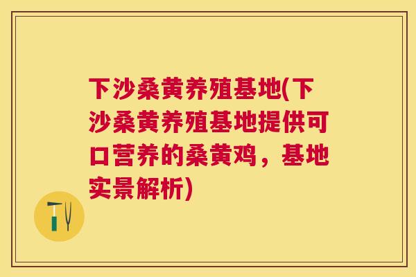 下沙桑黄养殖基地(下沙桑黄养殖基地提供可口营养的桑黄鸡,基地实景解析) 下沙桑黄养殖基地(下沙桑黄养殖基地提供可口营养的桑黄鸡,基地实景解析)