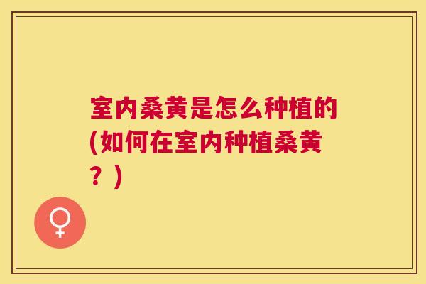 室内桑黄是怎么种植的(如何在室内种植桑黄?) 室内桑黄是怎么种植的(如何在室内种植桑黄?)