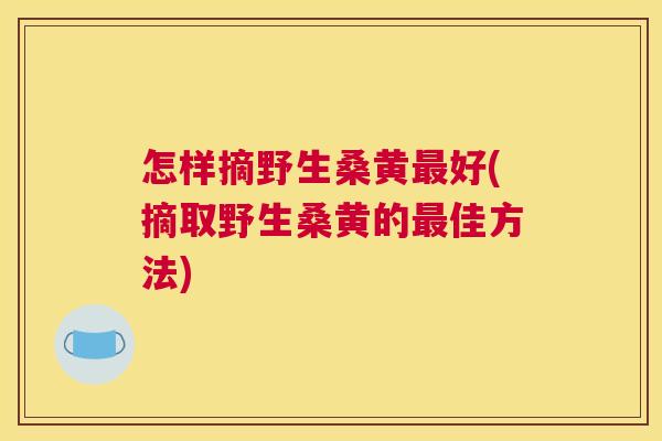 怎样摘野生桑黄好(摘取野生桑黄的佳方法) 怎样摘野生桑黄好(摘取野生桑黄的佳方法)