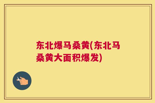 东北爆马桑黄(东北马桑黄大面积爆发) 东北爆马桑黄(东北马桑黄大面积爆发)