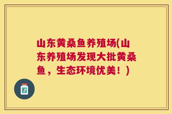 山东黄桑鱼养殖场(山东养殖场发现大批黄桑鱼,生态环境优美!) 山东黄桑鱼养殖场(山东养殖场发现大批黄桑鱼,生态环境优美!)