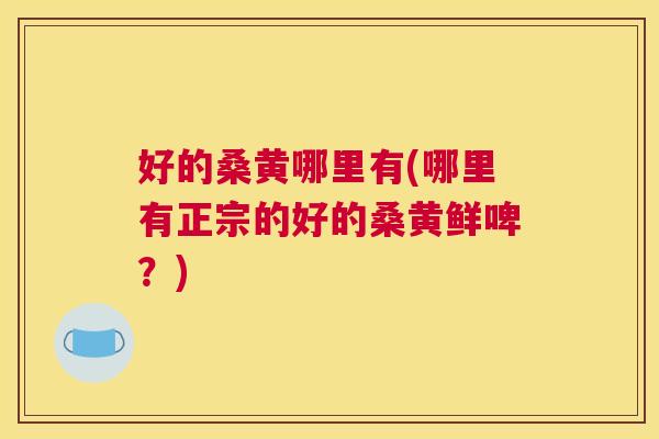 好的桑黄哪里有(哪里有正宗的好的桑黄鲜啤?) 好的桑黄哪里有(哪里有正宗的好的桑黄鲜啤?)
