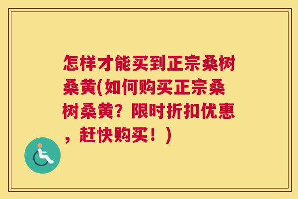 怎样才能买到正宗桑树桑黄(如何购买正宗桑树桑黄?限时折扣优惠,赶快购买!) 怎样才能买到正宗桑树桑黄(如何购买正宗桑树桑黄?限时折扣优惠,赶快购买!)