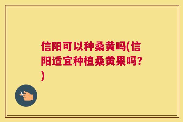 信阳可以种桑黄吗(信阳适宜种植桑黄果吗?) 信阳可以种桑黄吗(信阳适宜种植桑黄果吗?)