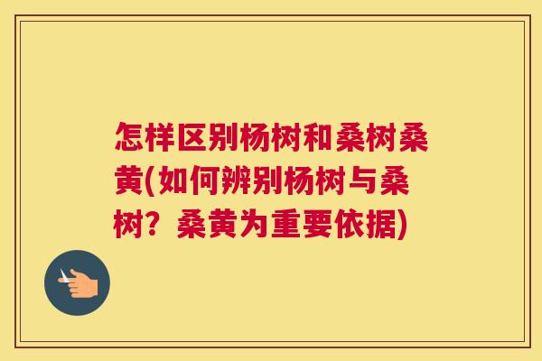 怎样区别杨树和桑树桑黄(如何辨别杨树与桑树?桑黄为重要依据) 怎样区别杨树和桑树桑黄(如何辨别杨树与桑树?桑黄为重要依据)