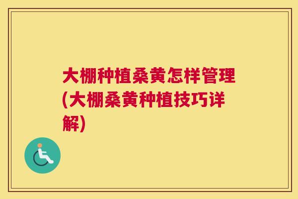 大棚种植桑黄怎样管理(大棚桑黄种植技巧详解) 大棚种植桑黄怎样管理(大棚桑黄种植技巧详解)