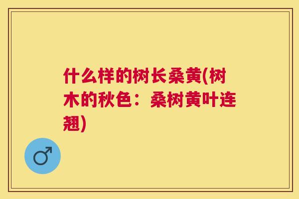 什么样的树长桑黄(树木的秋色:桑树黄叶连翘) 什么样的树长桑黄(树木的秋色:桑树黄叶连翘)