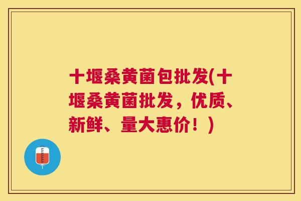 十堰桑黄菌包批发(十堰桑黄菌批发,优质、新鲜、量大惠价!) 十堰桑黄菌包批发(十堰桑黄菌批发,优质、新鲜、量大惠价!)