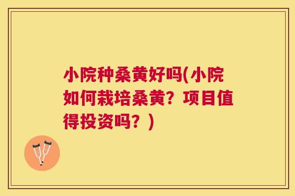 小院种桑黄好吗(小院如何栽培桑黄?项目值得投资吗?) 小院种桑黄好吗(小院如何栽培桑黄?项目值得投资吗?)