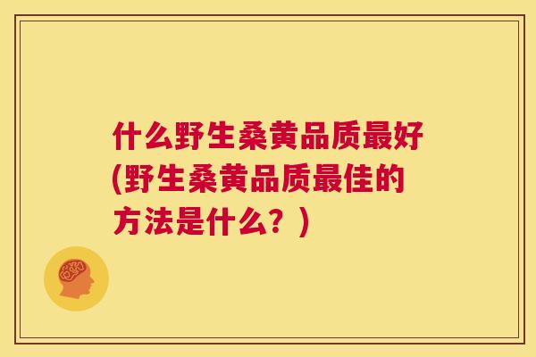 什么野生桑黄品质好(野生桑黄品质佳的方法是什么？)