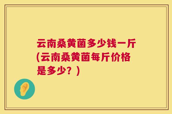 云南桑黄菌多少钱一斤(云南桑黄菌每斤价格是多少?) 云南桑黄菌多少钱一斤(云南桑黄菌每斤价格是多少?)