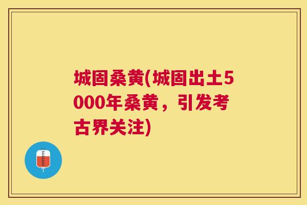 城固桑黄(城固出土5000年桑黄,引发考古界关注) 城固桑黄(城固出土5000年桑黄,引发考古界关注)