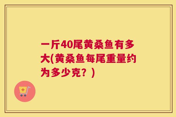 一斤40尾黄桑鱼有多大(黄桑鱼每尾重量约为多少克?) 一斤40尾黄桑鱼有多大(黄桑鱼每尾重量约为多少克?)