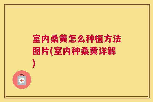 室内桑黄怎么种植方法图片(室内种桑黄详解) 室内桑黄怎么种植方法图片(室内种桑黄详解)