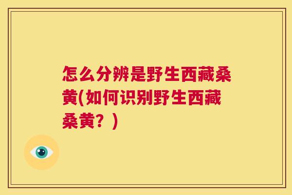怎么分辨是野生西藏桑黄(如何识别野生西藏桑黄?) 怎么分辨是野生西藏桑黄(如何识别野生西藏桑黄?)