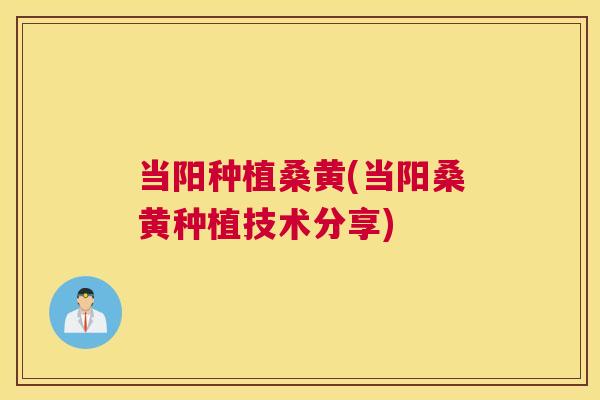当阳种植桑黄(当阳桑黄种植技术分享) 当阳种植桑黄(当阳桑黄种植技术分享)