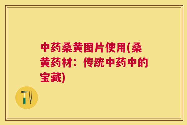 桑黄图片使用(桑黄药材:传统中的宝藏) 桑黄图片使用(桑黄药材:传统中的宝藏)