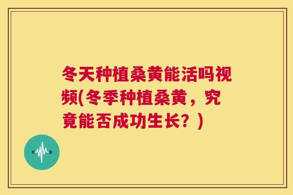 冬天种植桑黄能活吗视频(冬季种植桑黄,究竟能否成功生长?) 冬天种植桑黄能活吗视频(冬季种植桑黄,究竟能否成功生长?)