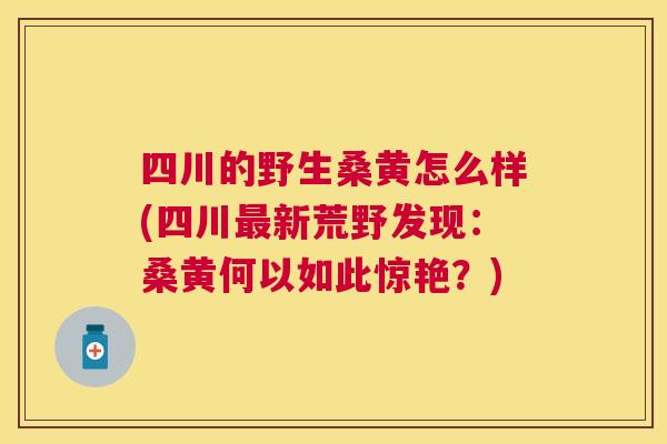四川的野生桑黄怎么样(四川新荒野发现:桑黄何以如此惊艳?) 四川的野生桑黄怎么样(四川新荒野发现:桑黄何以如此惊艳?)