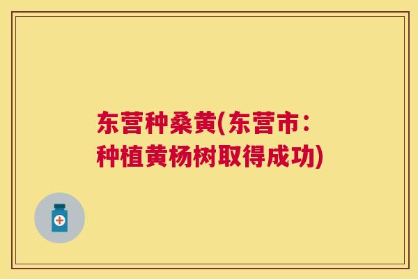 东营种桑黄(东营市:种植黄杨树取得成功) 东营种桑黄(东营市:种植黄杨树取得成功)