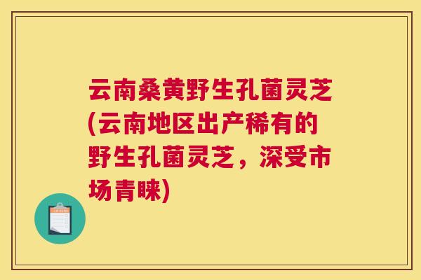 云南桑黄野生孔菌灵芝(云南地区出产稀有的野生孔菌灵芝,深受市场青睐) 云南桑黄野生孔菌灵芝(云南地区出产稀有的野生孔菌灵芝,深受市场青睐)
