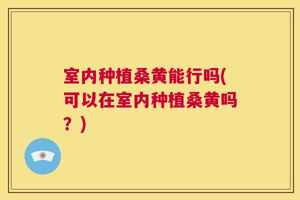 室内种植桑黄能行吗(可以在室内种植桑黄吗?) 室内种植桑黄能行吗(可以在室内种植桑黄吗?)