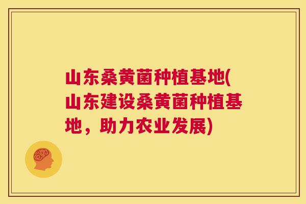 山东桑黄菌种植基地(山东建设桑黄菌种植基地,助力农业发展) 山东桑黄菌种植基地(山东建设桑黄菌种植基地,助力农业发展)