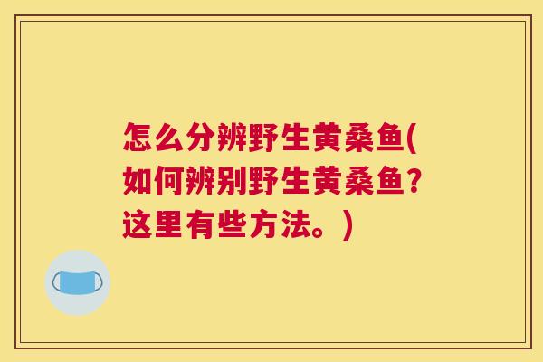 怎么分辨野生黄桑鱼(如何辨别野生黄桑鱼?这里有些方法。) 怎么分辨野生黄桑鱼(如何辨别野生黄桑鱼?这里有些方法。)
