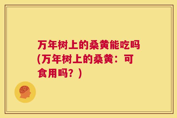 万年树上的桑黄能吃吗(万年树上的桑黄:可食用吗?) 万年树上的桑黄能吃吗(万年树上的桑黄:可食用吗?)