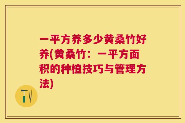 一平方养多少黄桑竹好养(黄桑竹:一平方面积的种植技巧与管理方法) 一平方养多少黄桑竹好养(黄桑竹:一平方面积的种植技巧与管理方法)