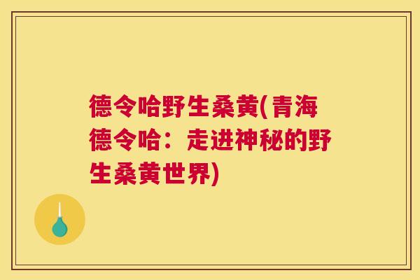 德令哈野生桑黄(青海德令哈:走进神秘的野生桑黄世界) 德令哈野生桑黄(青海德令哈:走进神秘的野生桑黄世界)