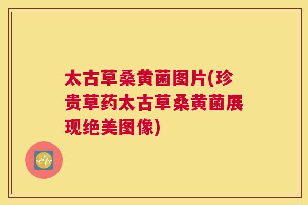 太古草桑黄菌图片(珍贵草药太古草桑黄菌展现绝美图像) 太古草桑黄菌图片(珍贵草药太古草桑黄菌展现绝美图像)