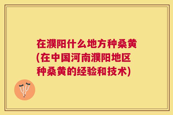 在濮阳什么地方种桑黄(在中国河南濮阳地区种桑黄的经验和技术) 在濮阳什么地方种桑黄(在中国河南濮阳地区种桑黄的经验和技术)