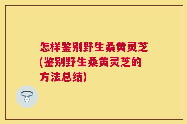 怎样鉴别野生桑黄灵芝(鉴别野生桑黄灵芝的方法总结) 怎样鉴别野生桑黄灵芝(鉴别野生桑黄灵芝的方法总结)
