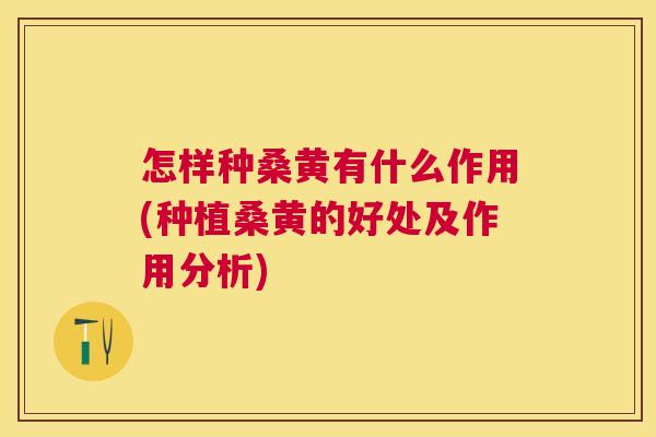 怎样种桑黄有什么作用(种植桑黄的好处及作用分析) 怎样种桑黄有什么作用(种植桑黄的好处及作用分析)