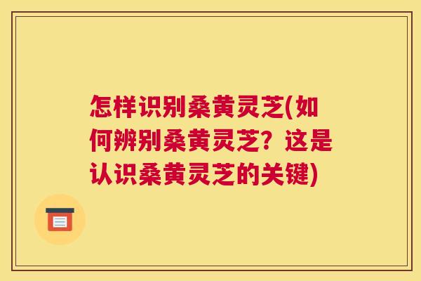怎样识别桑黄灵芝(如何辨别桑黄灵芝?这是认识桑黄灵芝的关键) 怎样识别桑黄灵芝(如何辨别桑黄灵芝?这是认识桑黄灵芝的关键)